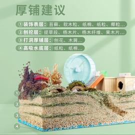 叫我靓仔呀的图片