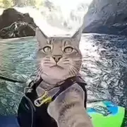 ღ᭄ᝰꫛꫀꪟ楓
