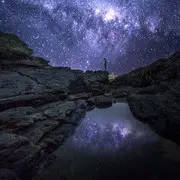 来自图鲁滋的智利龙