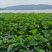 永远爱你哦!