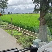 碎银几两苦中求