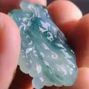 趴在琴键上的猫
