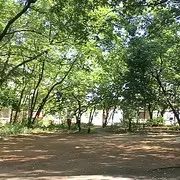 大连加油人生如梦