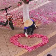 广哥路过