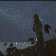 金色狂风🍃