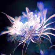 ﹏訫无杂念.﹎゛