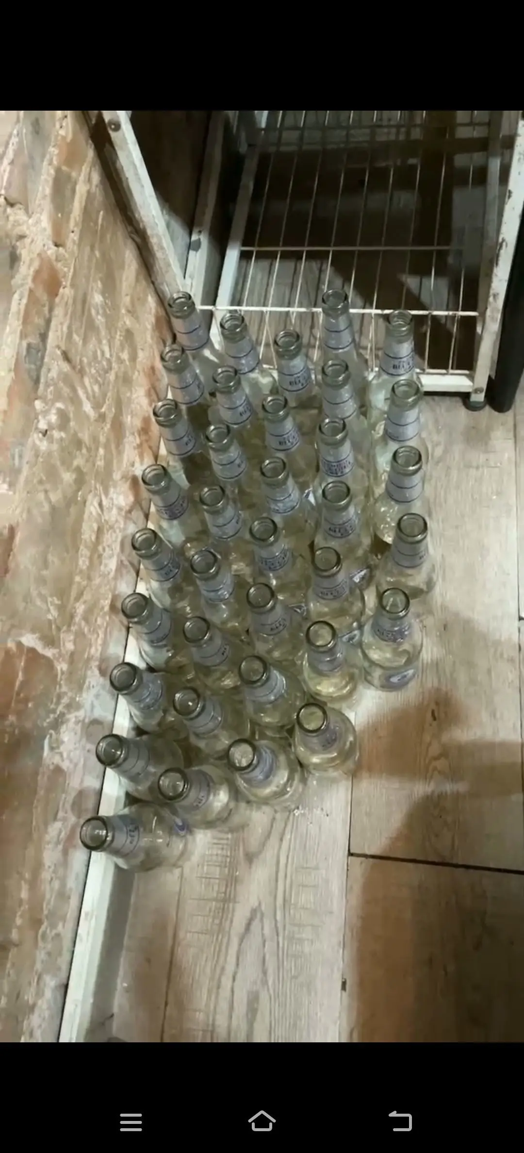 喜孑♡ℒℴve的主播照片