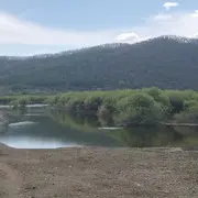高压锅.炖主播
