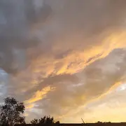 我心依旧🐎
