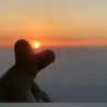 233745742