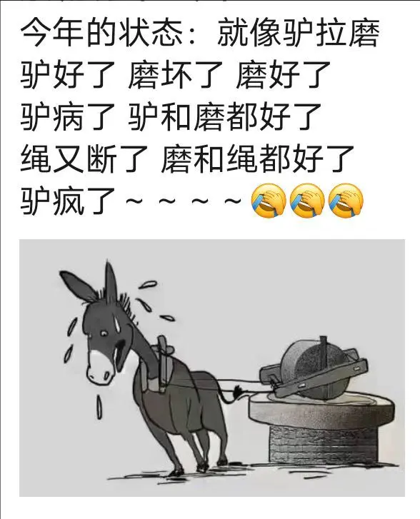 大琪琪-的主播照片