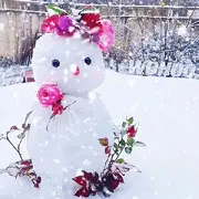 哈啦巴