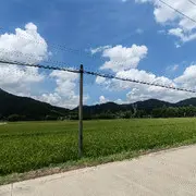会掀被子的寿：司