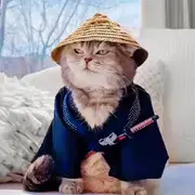 半生酒醒🐠
