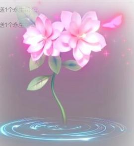 暗香⸝⸝的图片