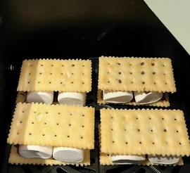 叫我靓仔呀的图片
