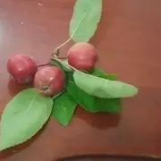 好闺蜜在一起