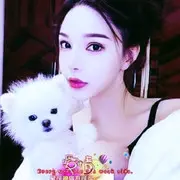 丸碧推荐