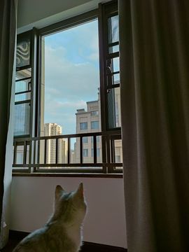 xy吴小优的图片