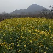 云上看直播