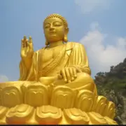 虎头🐯虎脑123@