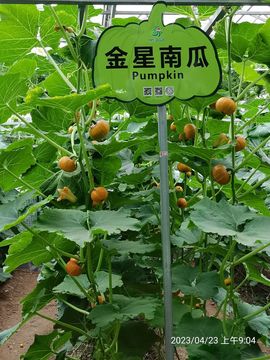 一凡../*的图片