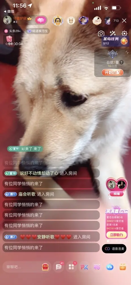嘉欣越来越好的主播照片