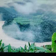 感悟人生欣姐