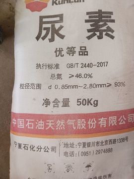 嘉宜.的图片