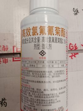 嘉宜.的图片
