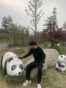 大宝贝YY的图片