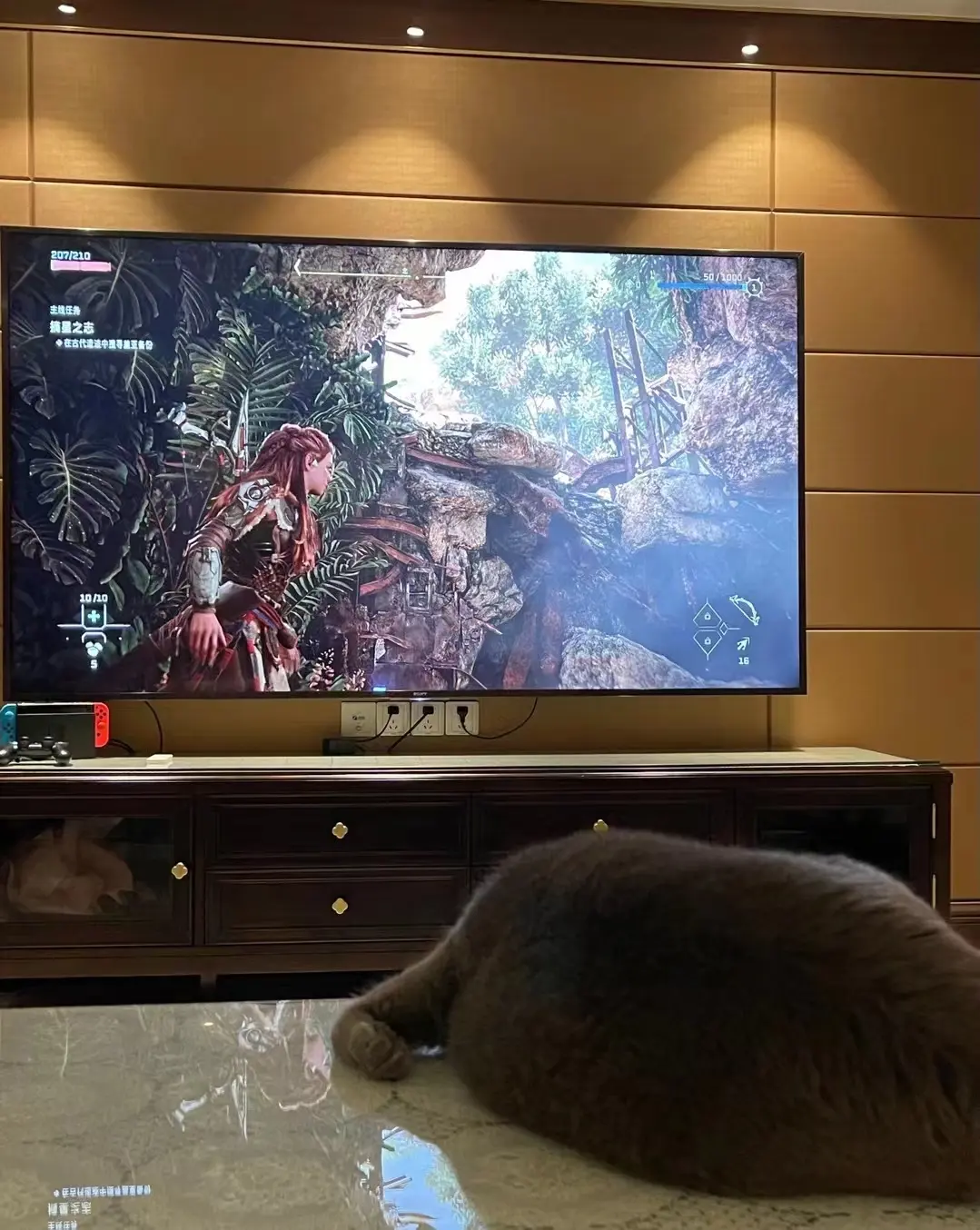 欲為🙀🙀😿🙀主播图片
