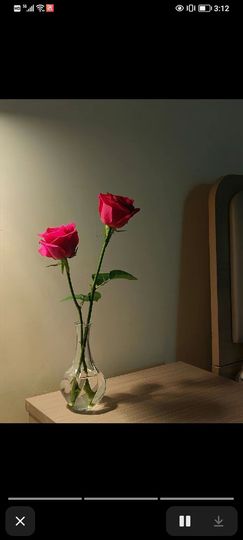 果果(平安好运)的图片