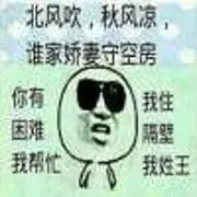 红叶南飞.