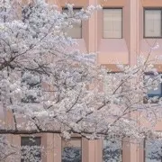 皮尔*卡丹