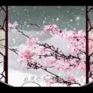羽my