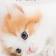 往后，余生。的用户头像
