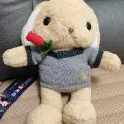 🐰瓶盖🐰