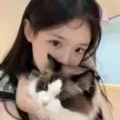 ᰔᩚ鲜虾炖萝卜
