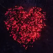 丰嫂😊