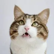 滚滚红尘都是水