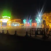只看不刷……@
