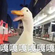 一条小曼巴