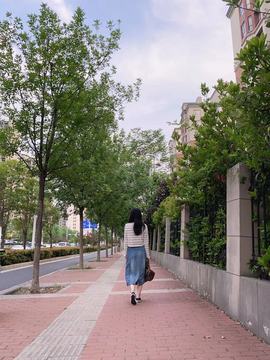 叶漫漫~加油吖！的图片