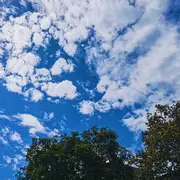 枫林寻枫的用户头像
