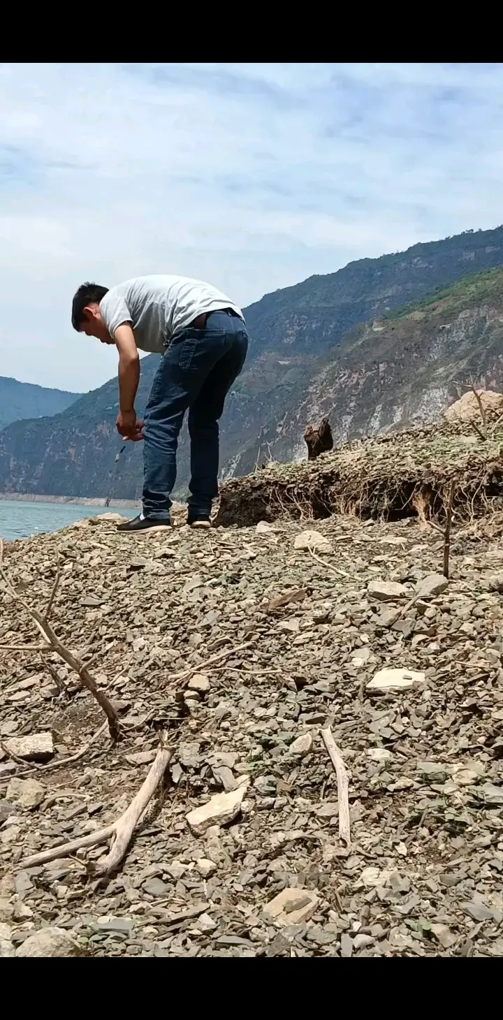 风景很美，美的分不清梦里梦外