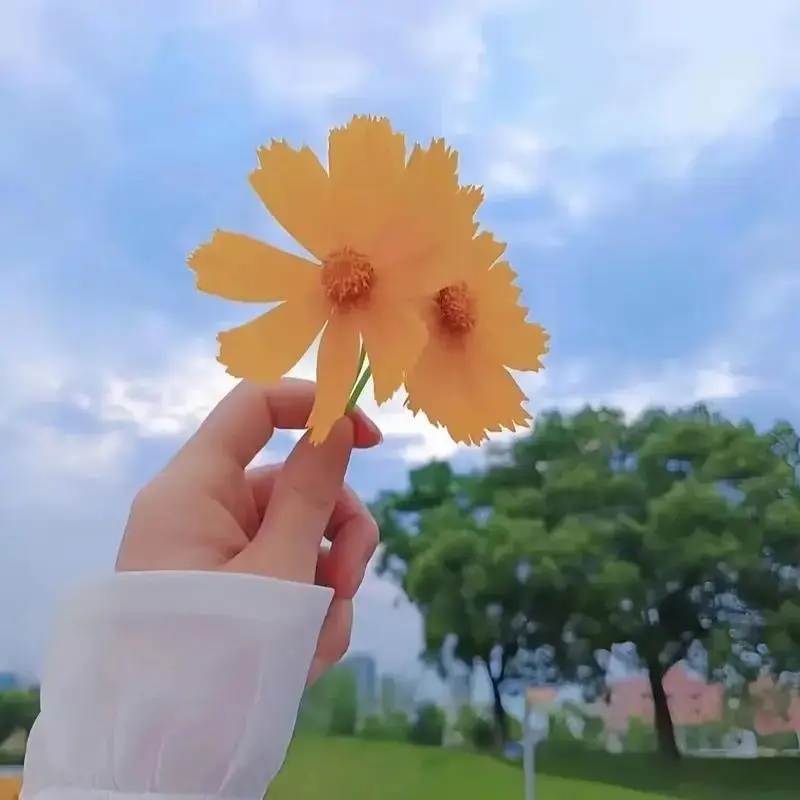有缘再见🥰的主播照片