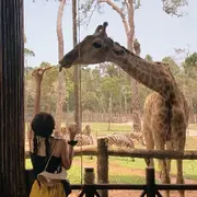 e331