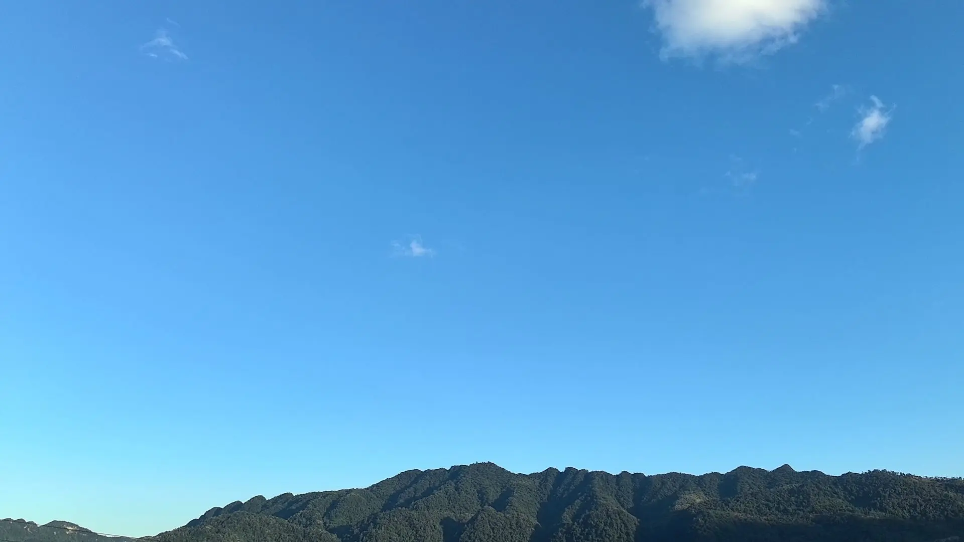 唯爱🌺小艾生日快乐的主播照片