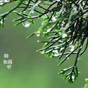 ✲落雨的秋✲